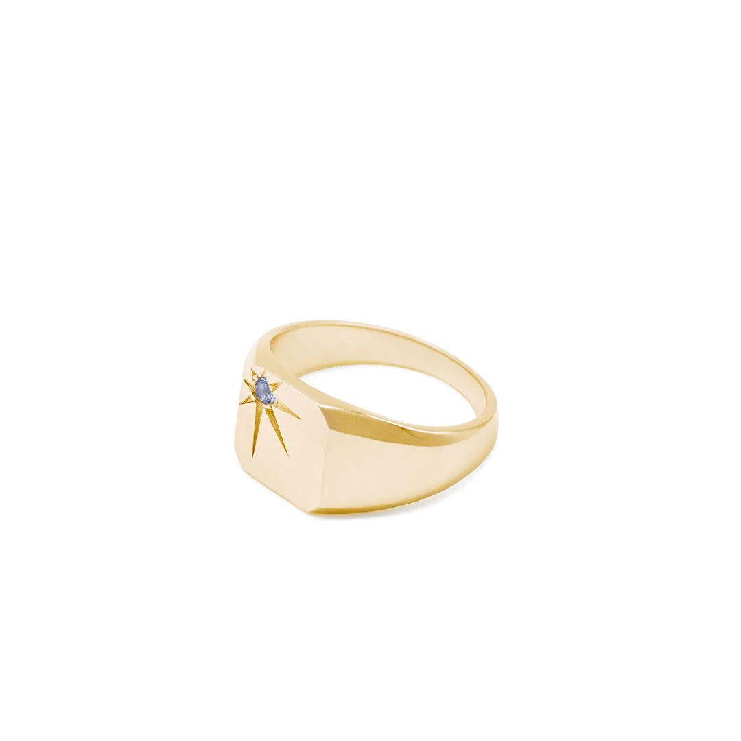 Gold Guardian Ring - Image 2