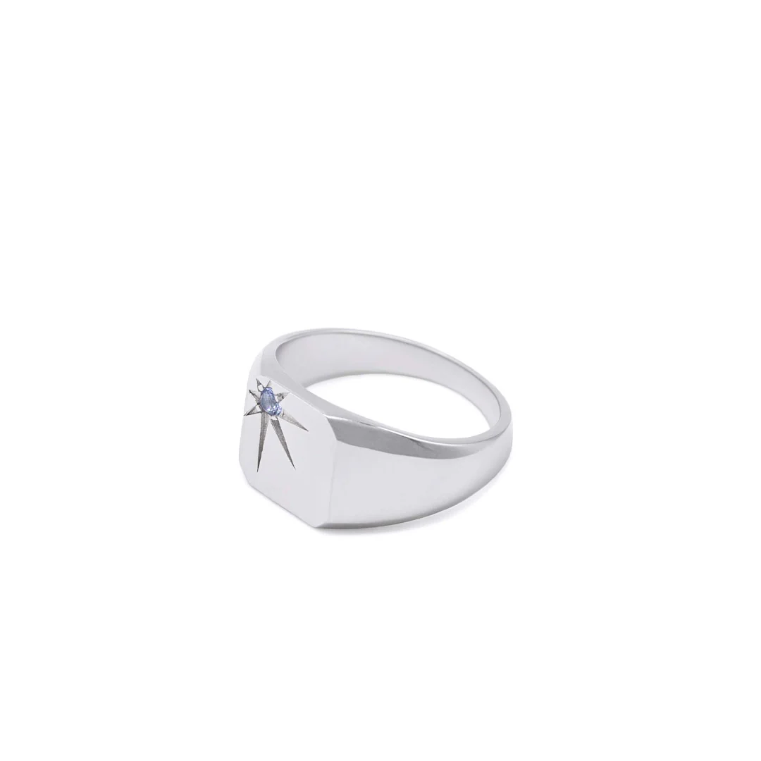 Silver Guardian Ring - Image 5