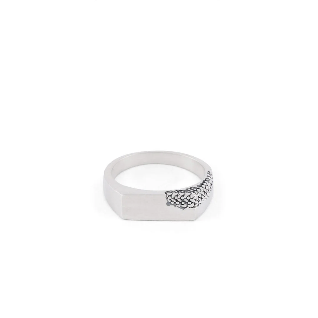 Silver Verso Ring - Image 3